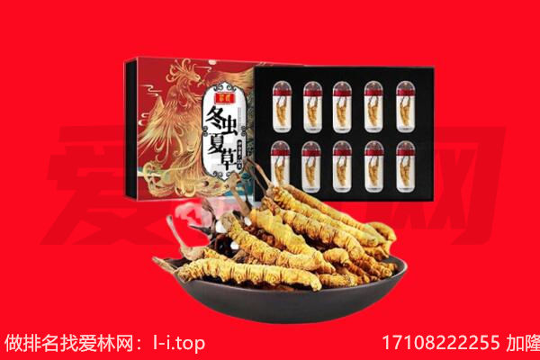 汕头市潮阳回收虫草.jpg